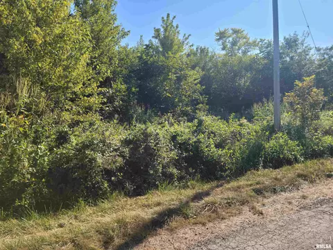 175 E Lang Ln, Bonnie, IL 62816