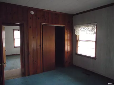 601 Washington Ave, Dowell, IL 62927 photo 8