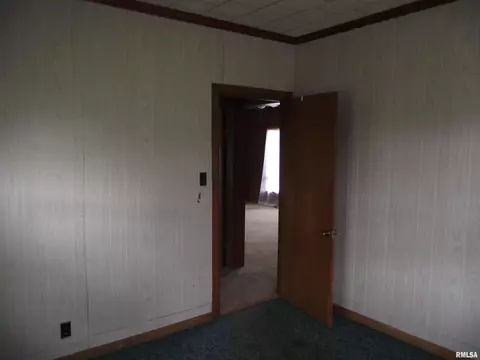 601 Washington Ave, Dowell, IL 62927 photo 13