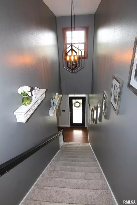 5525 Cedar Rd, Kell, IL 62853 photo 30