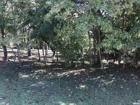 1031 John Able Drive, Goreville, IL 62939