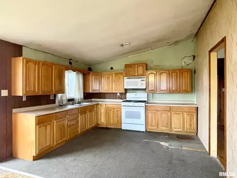 1017 E 6th St, Metropolis, IL 62960 photo 3
