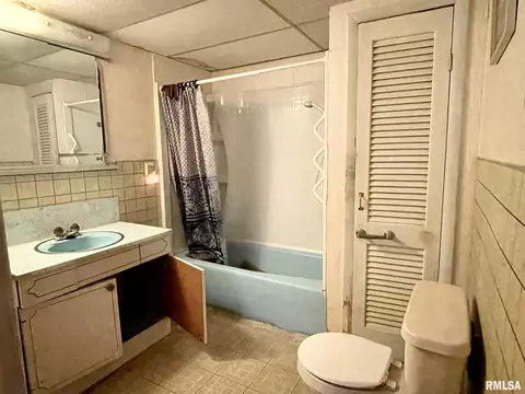 1017 E 6th St, Metropolis, IL 62960 photo 12