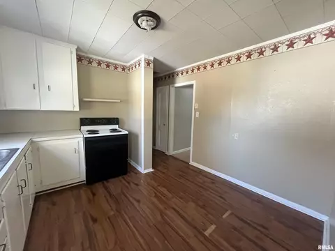 311 E 12th St, Metropolis, IL 62960 photo 6