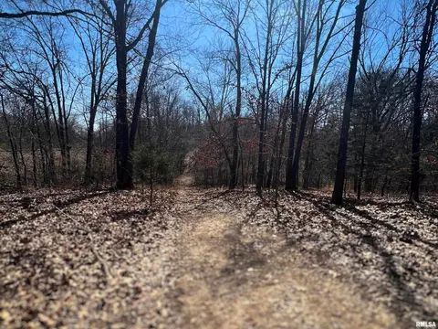 00 Nixville Rd, Carrier Mills, IL 62917