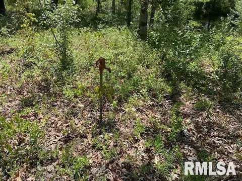 3 Lakepoint Dr, Benton, IL 62812 photo 8