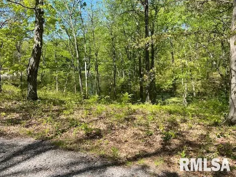 3 Lakepoint Dr, Benton, IL 62812 photo 2