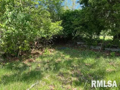 17354 E Fairfield Rd, Mount Vernon, IL 62864 photo 4