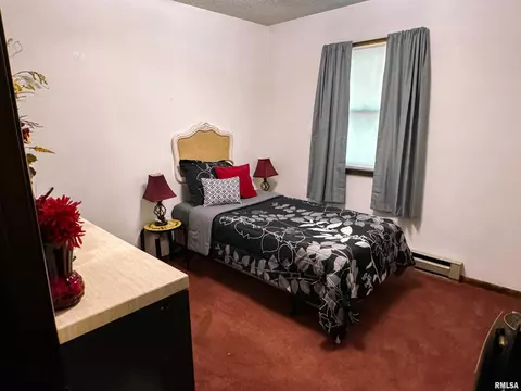 102 Thomas Dr, Cobden, IL 62920 photo 22