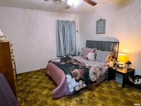 102 Thomas Dr, Cobden, IL 62920 photo 25