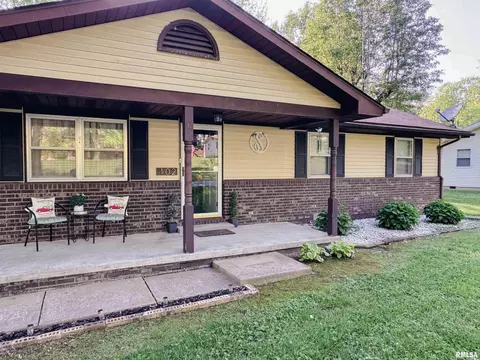 102 Thomas Dr, Cobden, IL 62920 photo 3