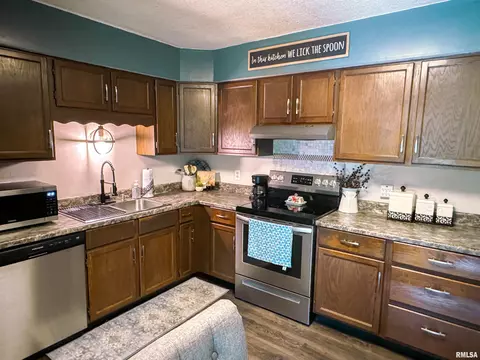 102 Thomas Dr, Cobden, IL 62920 photo 15
