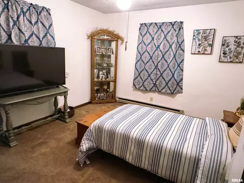 102 Thomas Dr, Cobden, IL 62920 photo 21