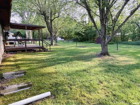 102 Thomas Dr, Cobden, IL 62920 photo 10