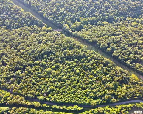 0 Pulleys Mill Rd, Goreville, IL 62939