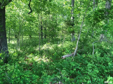 000 Fish Farm Rd, Golconda, IL 62938