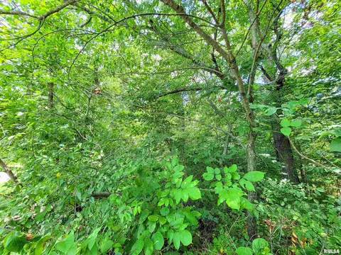 000 Hanging Rock Rd, Flora, IL 62839 photo 10