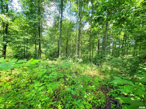 000 Hanging Rock Rd, Flora, IL 62839 photo 9