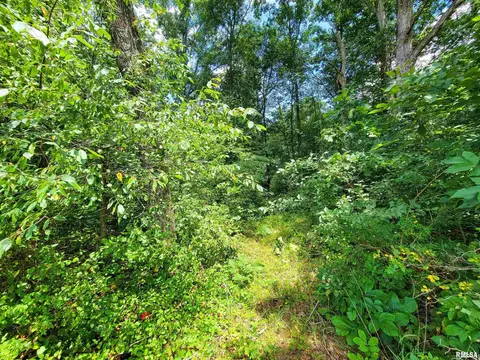 000 Hanging Rock Rd, Flora, IL 62839 photo 7