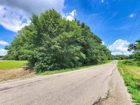 000 Hanging Rock Rd, Flora, IL 62839 photo 13