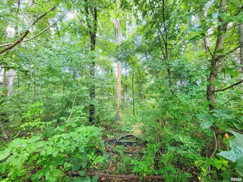 000 Hanging Rock Rd, Flora, IL 62839 photo 3