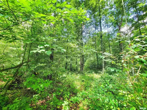 000 Hanging Rock Rd, Flora, IL 62839 photo 8