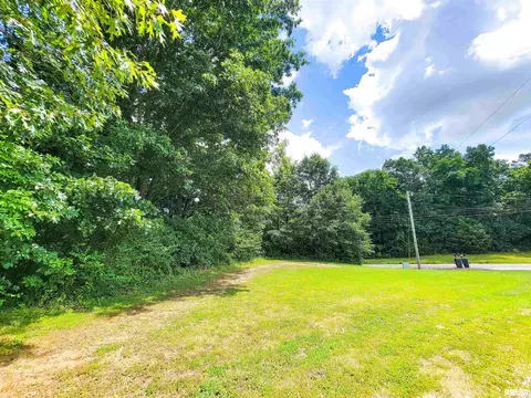 000 Hanging Rock Rd, Flora, IL 62839 photo 5