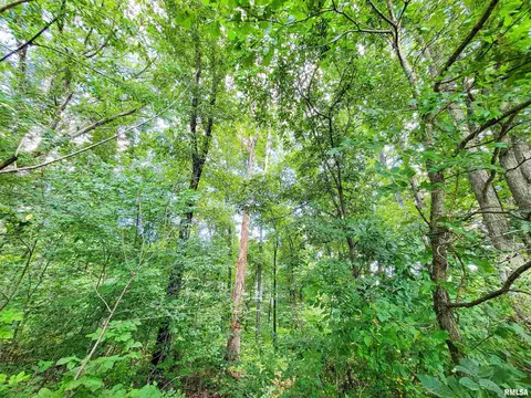 000 Hanging Rock Rd, Flora, IL 62839 photo 4