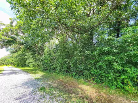 000 Hanging Rock Rd, Flora, IL 62839 photo 6
