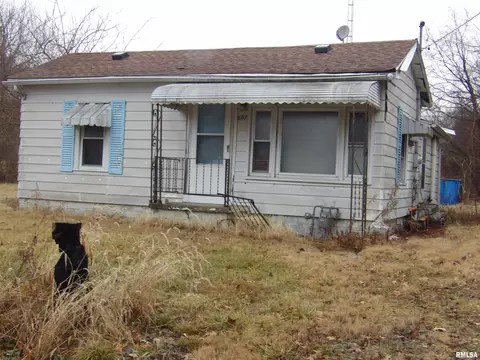 807 E 2nd St, Buckner, IL 62819