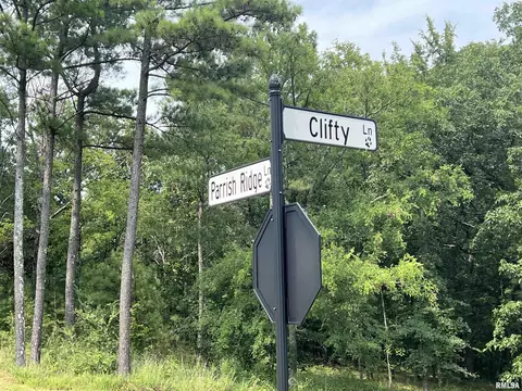 lot333 Clifty Ln, Goreville, IL 62939
