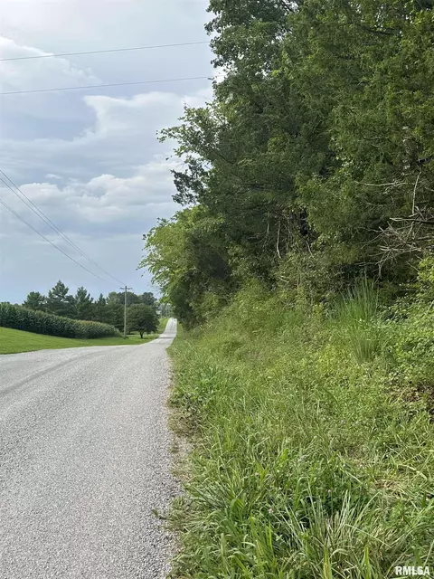 1040 Blueberry Hill Rd, Cobden, IL 62920