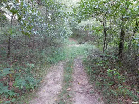 4026 Waggoner Rd, Iuka, IL 62881 photo 17