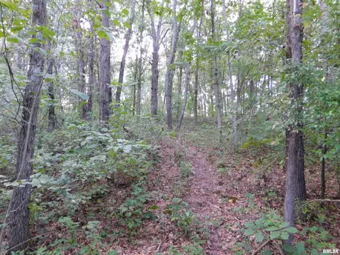 4026 Waggoner Rd, Iuka, IL 62881 photo 15