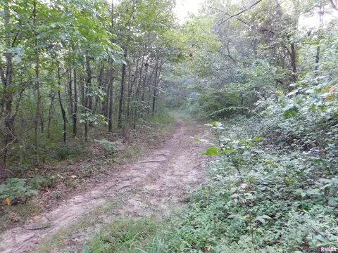 4026 Waggoner Rd, Iuka, IL 62881 photo 16