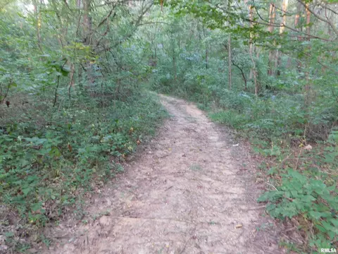 4026 Waggoner Rd, Iuka, IL 62881 photo 14