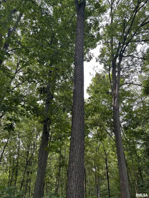 0000 E Richview Rd, Mount Vernon, IL 62864 photo 3