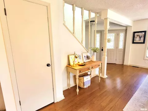 Entry Way - 62 Hancock Dr, Flora, IL 62839 photo 3 of 8