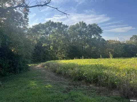 1107 Hayes Rd, Ava, IL 62907 photo 9