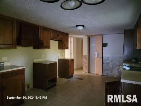 410 E Florence St, Sesser, IL 62884 photo 8