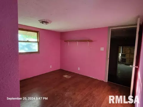 410 E Florence St, Sesser, IL 62884 photo 20