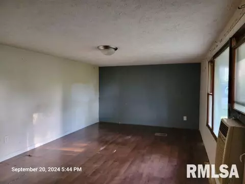 410 E Florence St, Sesser, IL 62884 photo 11