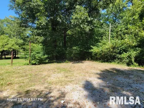 410 E Florence St, Sesser, IL 62884 photo 34