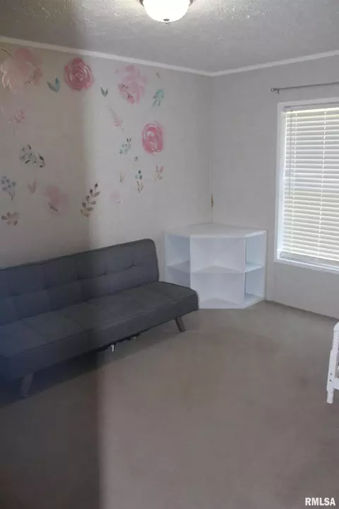 851 W Lincoln St, Dix, IL 62830 photo 30