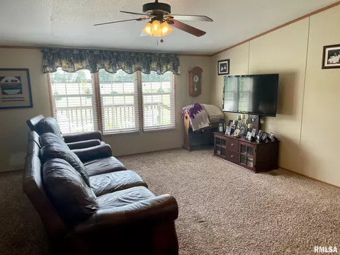 191 White Rd, Eldorado, IL 62930 photo 33