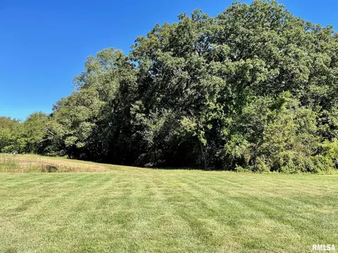 191 White Rd, Eldorado, IL 62930 photo 39