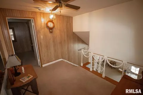 1029 E Calumet St, Centralia, IL 62801 photo 21