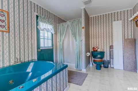 3058 Old 51 Rd, Sandoval, IL 62882 photo 8
