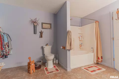 3058 Old 51 Rd, Sandoval, IL 62882 photo 15