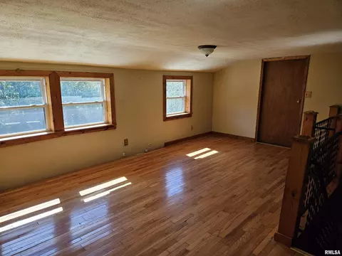 245 Henry Hicks Rd, Herod, IL 62947 photo 18
